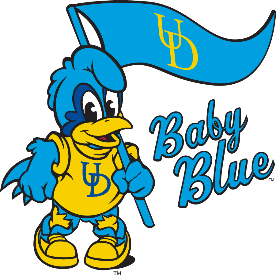 Delaware Blue Hens 2009-2018 Mascot Logo DIY iron on transfer (heat transfer)